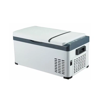 Mini frigorifero per camion