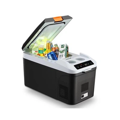 Frigo portatile per il campeggio